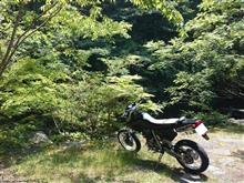 yamaringsさんのXR250_motard