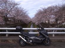 シュウ１さんのT-MAX530