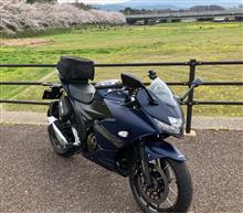 KURIO☆3988さんのジクサーSF250 メイン画像