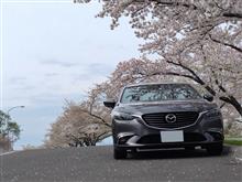 ノースヤさんのATENZA