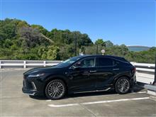 るるるさんのRX PHEV 左サイド画像