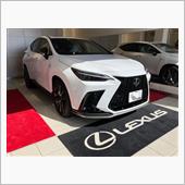 白いR子さんのNX PHEV