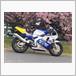 ホンダ CBR250RR(MC22)