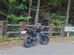 ホンダ エイプ50