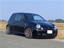 ひろひろんさんのLUPO