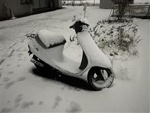 さかP ※バイク専用さんのPal