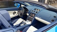 お料理マニア〈格闘技とヨガを毎日する♂〉さんのGALLARDO_SPYDER