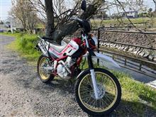 みきとん『三喜屯』さんのセロー250ファイナルエディション メイン画像