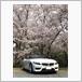 BMW Z4 ロードスター