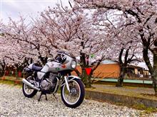 ゆずパパRさんのGB400TT