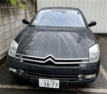 pincoroさんのC6