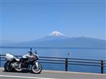 BMW F900XR