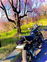 b1ueさんのZEPHYR_kai