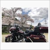 Coo3さんのエレクトラグライド ウルトラ クラシック