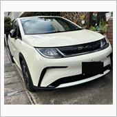 TAKA5523さんのドルフィン