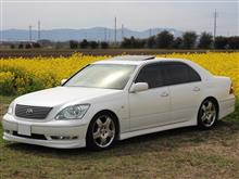 yamashisoさんのCELSIOR