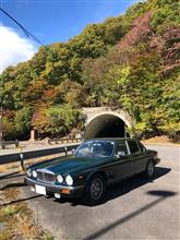 哲兄ぃさんのDAIMLER