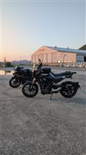 204WraithさんのSVARTPILEN250