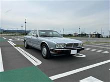 ガララーガさんのDAIMLER
