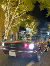 とらきさんのFORD_OTHER