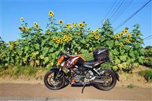 ぼんにぃさんの125Duke