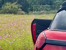 moco@MINI F66さんのMINI Cooper リア画像