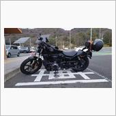 tt シェイクttさんのナイトスター
