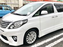 キノボリーさんのALPHARD_Gs
