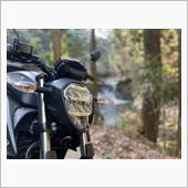 結石持ちさんのGIXXER250