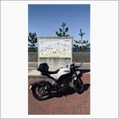 黒豹の保安官さんのVITPILEN401