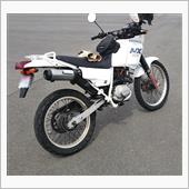 モンテッサさんのNX125