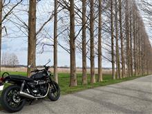 ninja3300さんのSTREET_TWIN