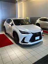 令和の青さんのNX_HYBRID