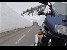 モツ一味さんのGPZ1100