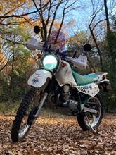 セロ吉・カブ吉さんのXT225SEROW