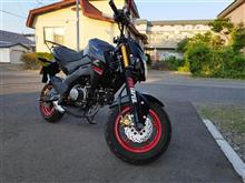 =BLITZ=さんのZ125PRO