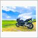 ホンダ CB1300 SUPER BOL D'OR (スーパーボルドール)
