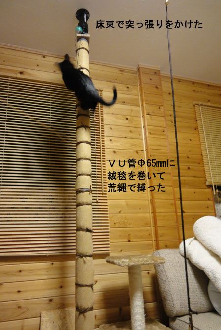 きろくん様専用 キャットタワー天井まで木登りバージョン 特別価格セール かんちゃん様専用 天井まで木登りバージョン 猫用品