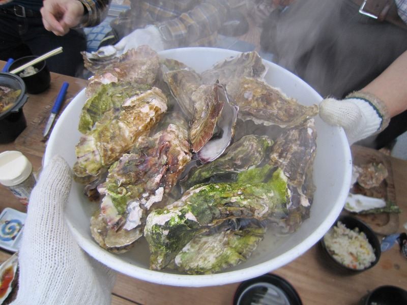 食べ放題の蒸し牡蠣
