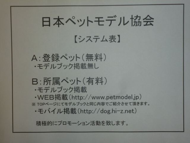 ペットモデル認定証もらいに行きました すすむしのブログ すすむしのbmw Maltese Miru みんカラ ペットモデル認定証もらいに行きました すすむしのブログ すすむしのbmw Maltese Miru みんカラ