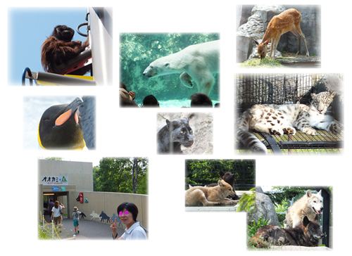 旭山動物園