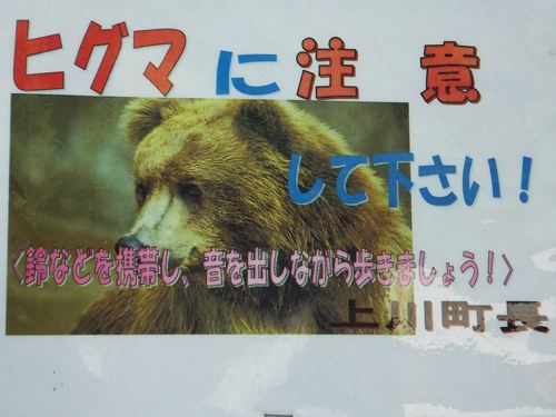 ヒグマに注意！