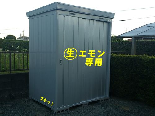 やっぱりイ○バ