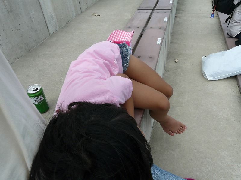 ナナ様、膝枕でお休み