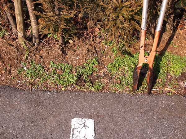 仮設電柱を自分で建ててみた Dai50のブログ ボクサーエンジン生活 みんカラ