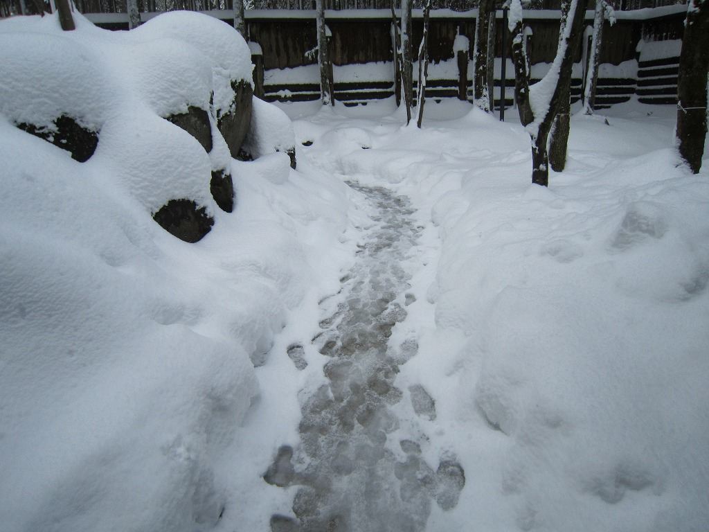 この奥に露天風呂が・・・