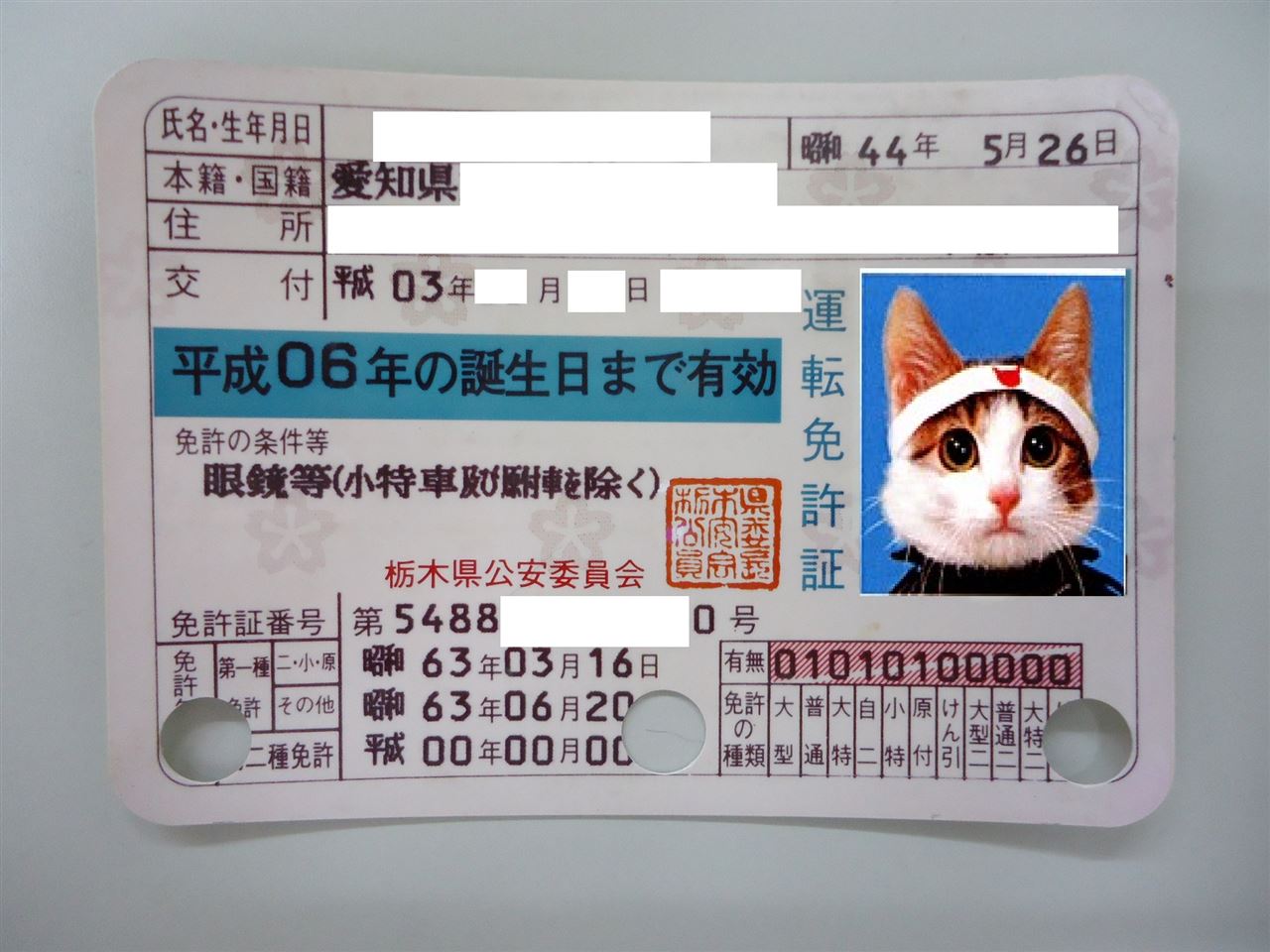 運転免許証更新♪｜SILVER FOXのブログ｜SILVER FOX - みんカラ