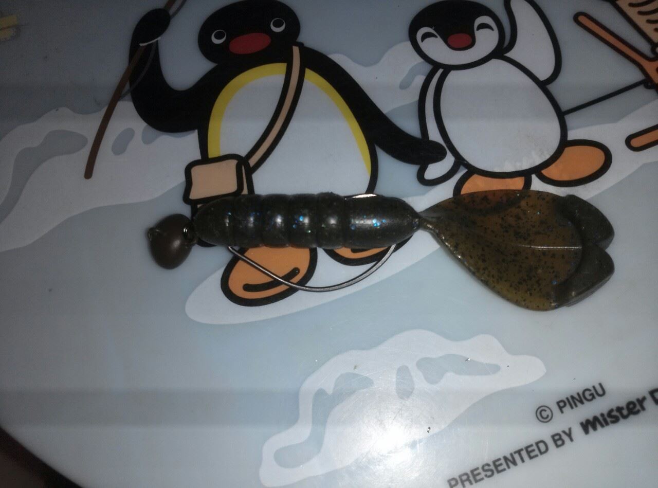 ためし投げ はくたんのブログ 釣りバカならぬただのバカ みんカラ