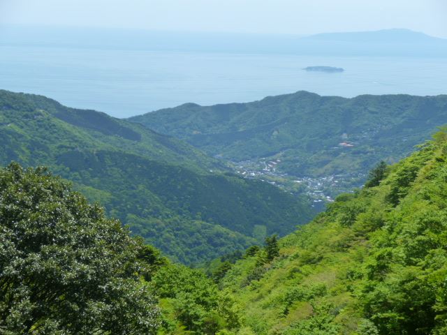 alt