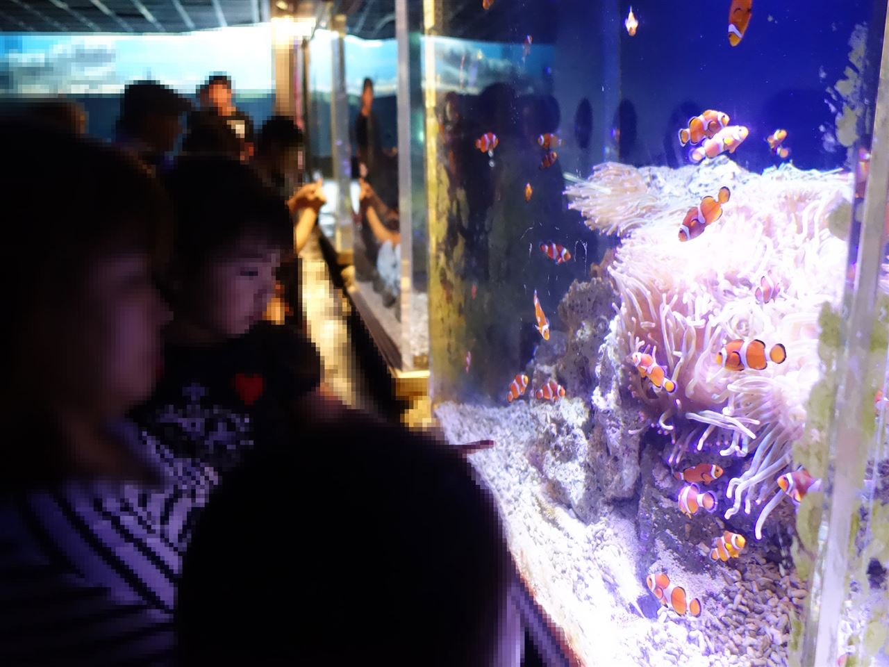 箱根園水族館